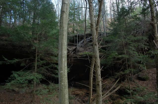 DSC_0296.jpg