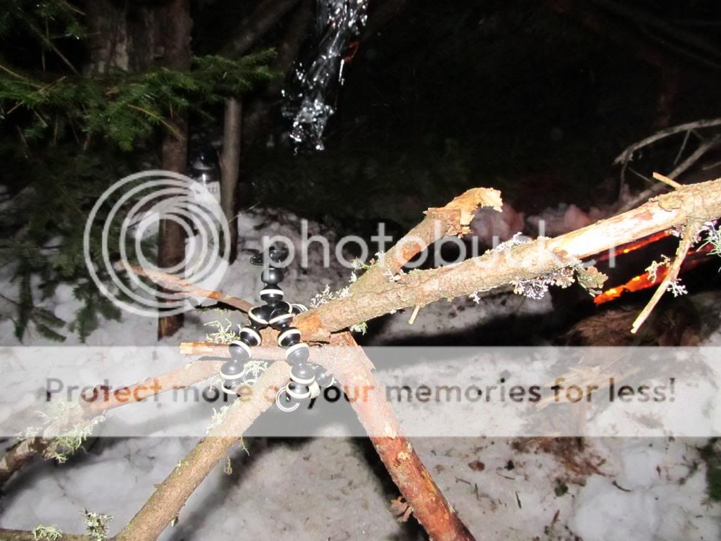 IMG_2318_zps00f76266.jpg