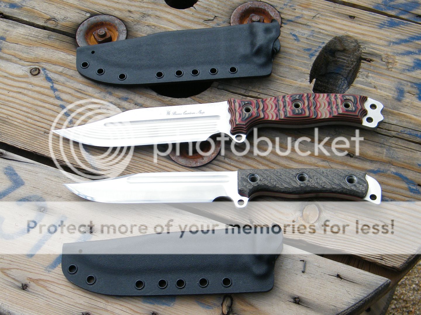 DSCF7808.jpg