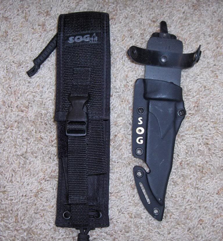 SogSealPupsheath.jpg