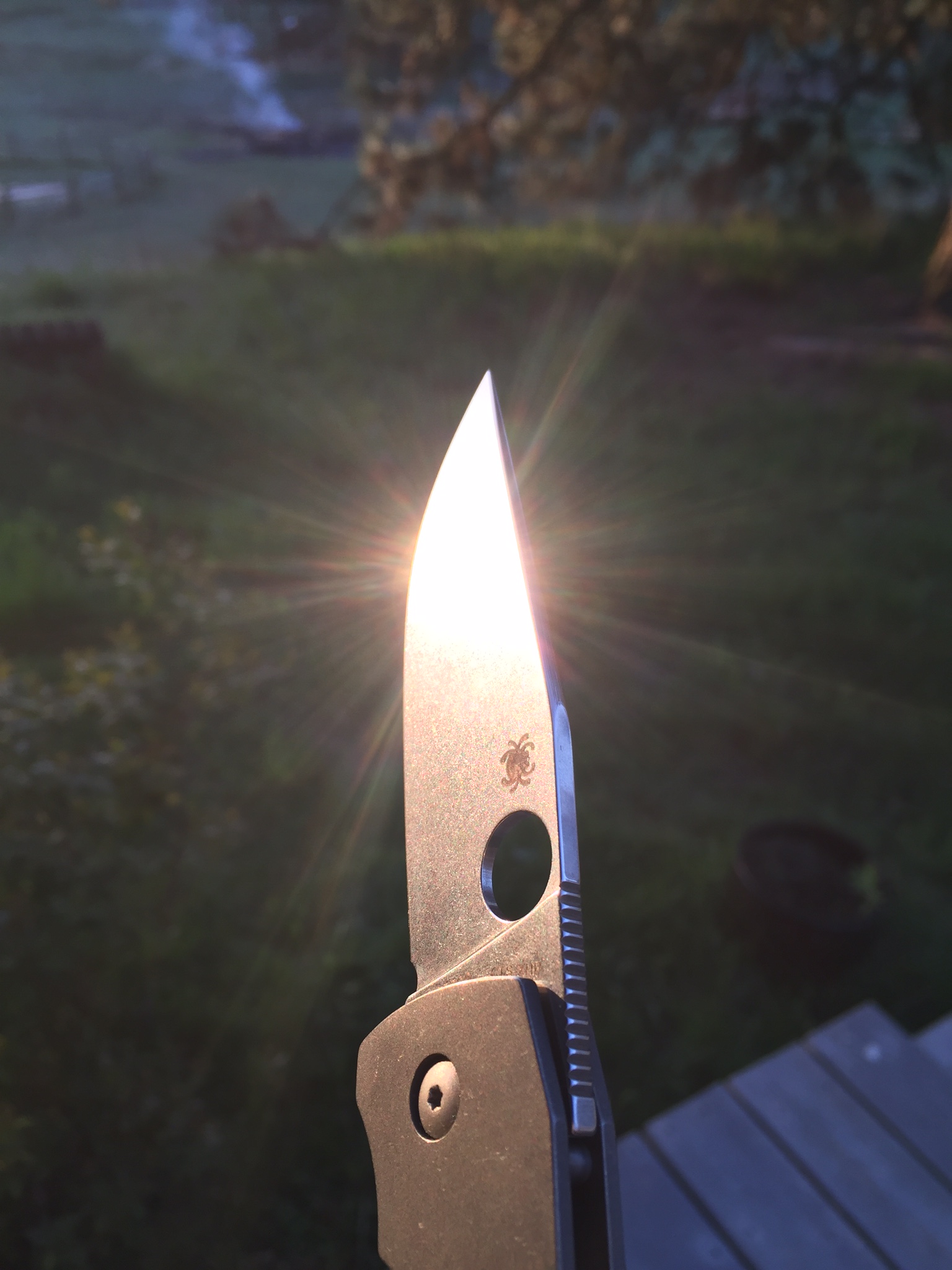 C9aJQV9.jpg