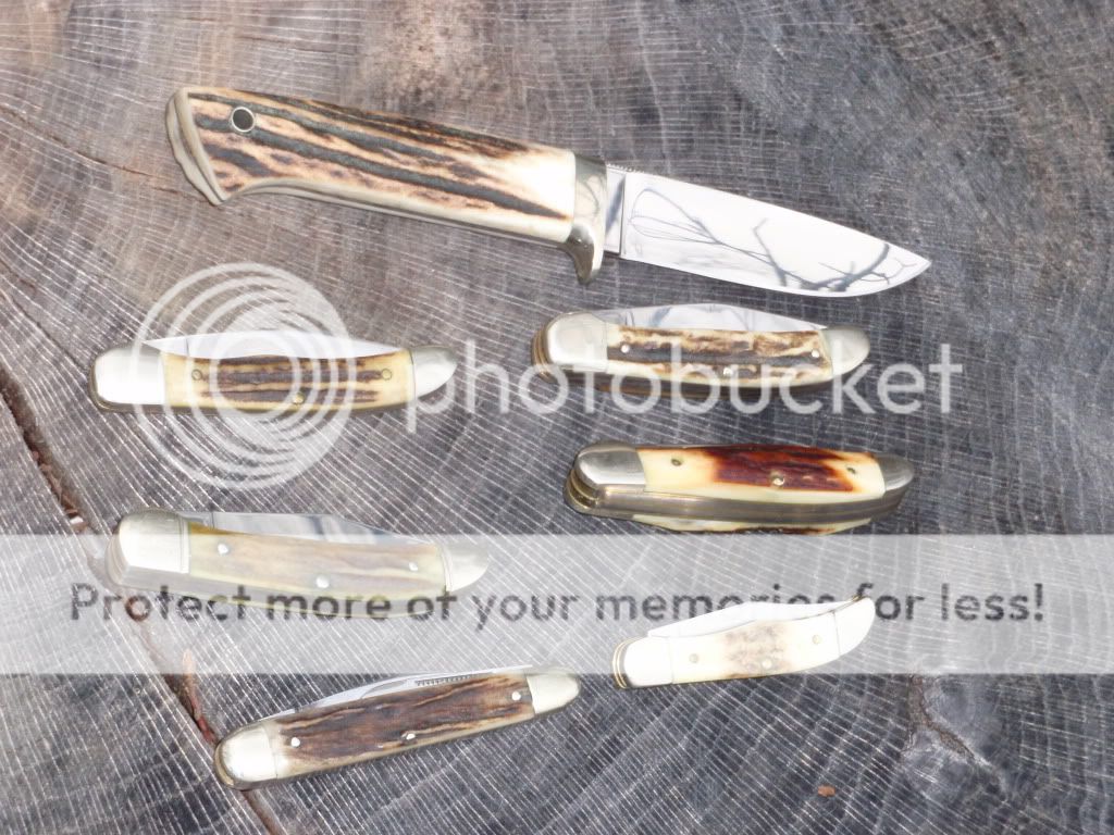Stagknives4.jpg