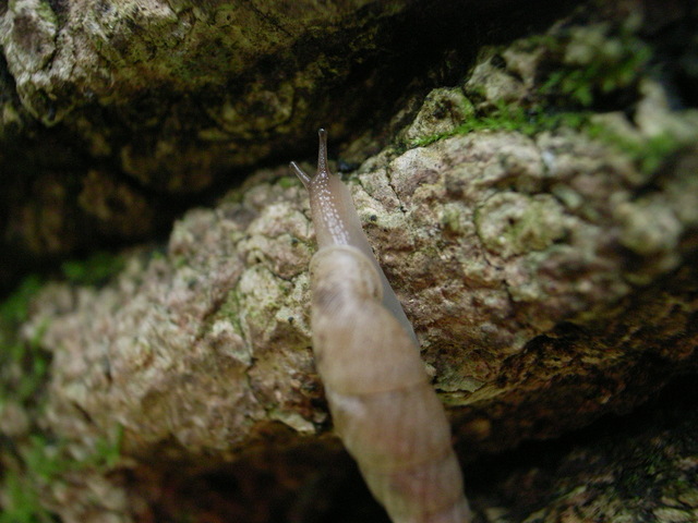 2011.05.18.R0023969.JPG