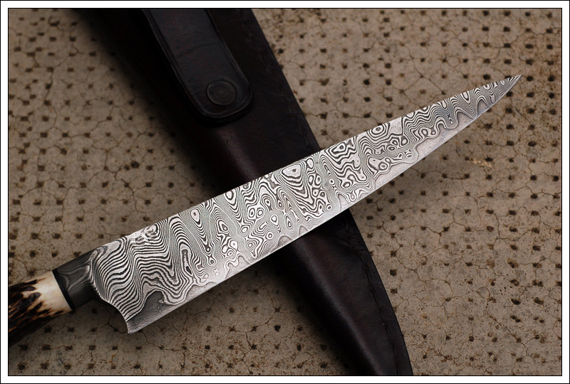 criollostagmokume2.jpg