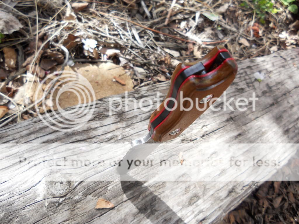 DSCN0221.jpg