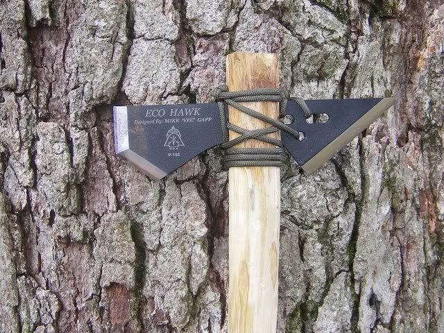 ecohawk028.jpg