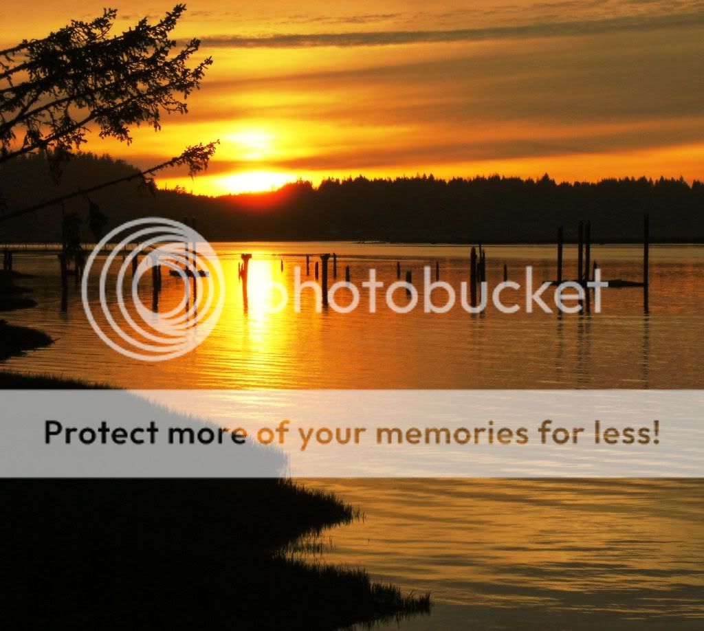 Sunset101.jpg