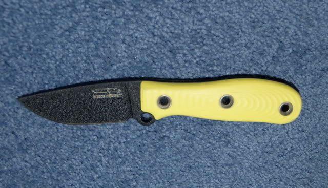 YellowWarden.jpg