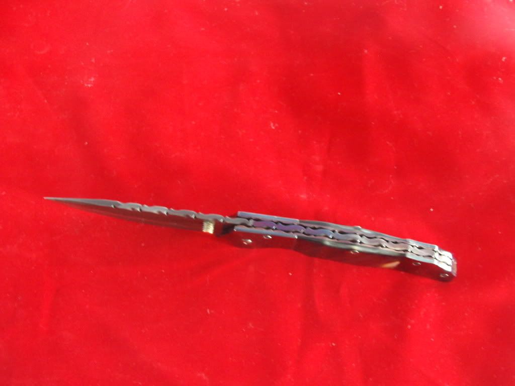 KIF_3339.jpg