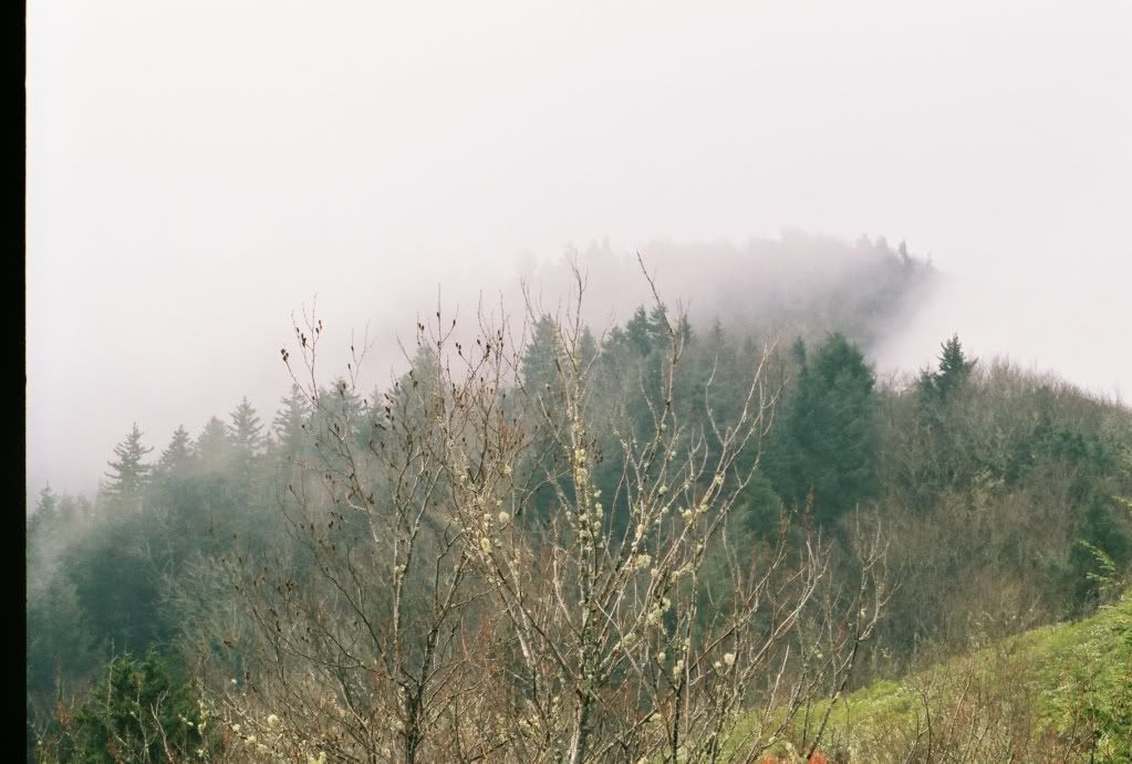 459434-R1-05-20A.jpg