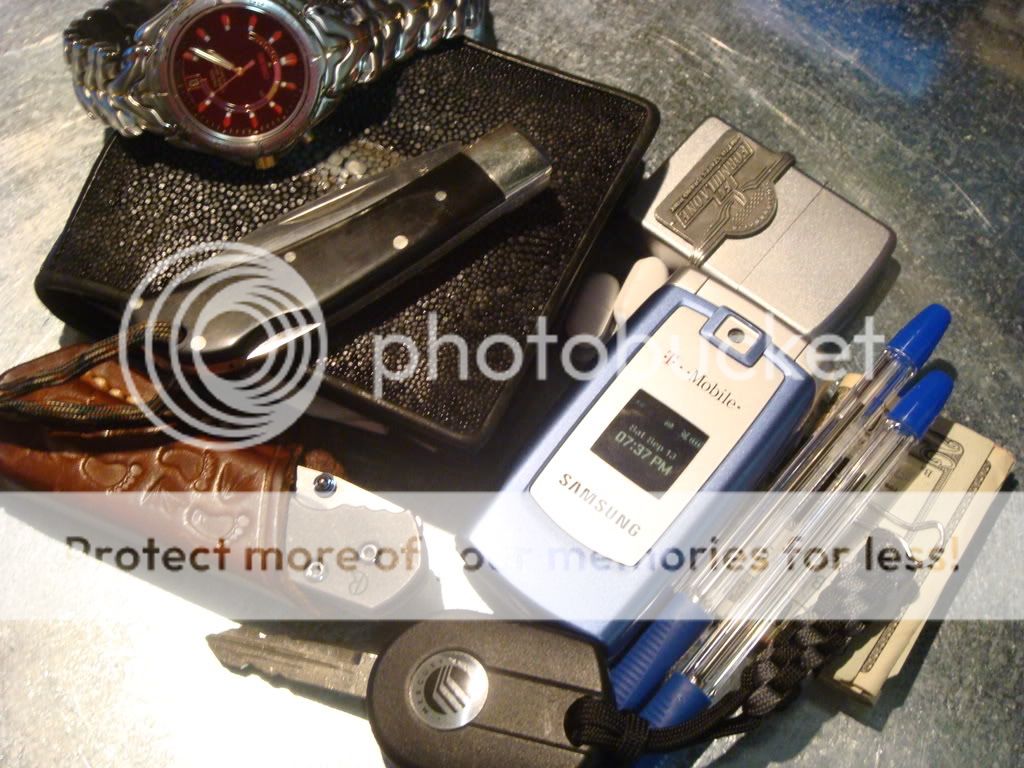 DSC02373.jpg