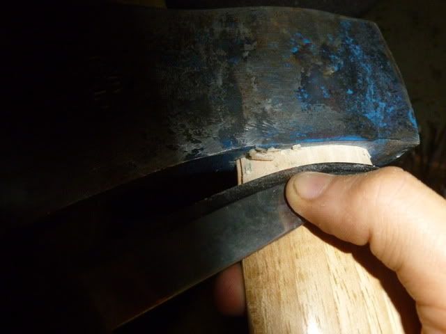 P1020018.jpg