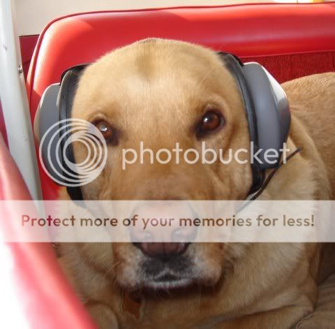Chester.jpg