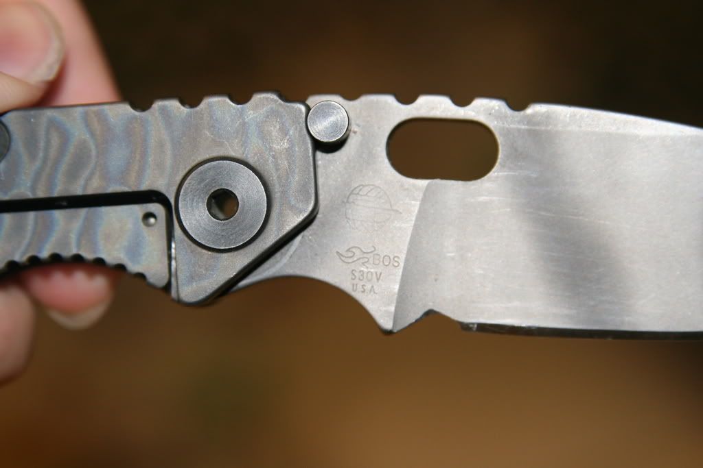 Strider005.jpg