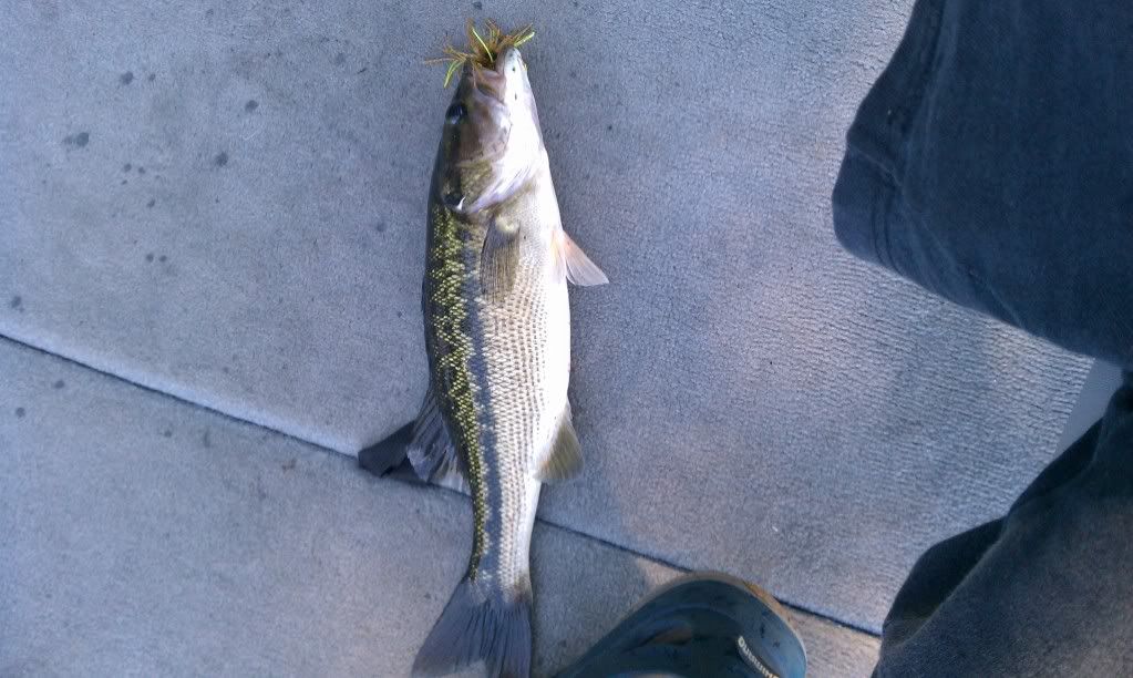 may12012spot.jpg