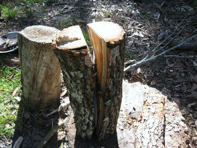 TreeNov2005018.jpg