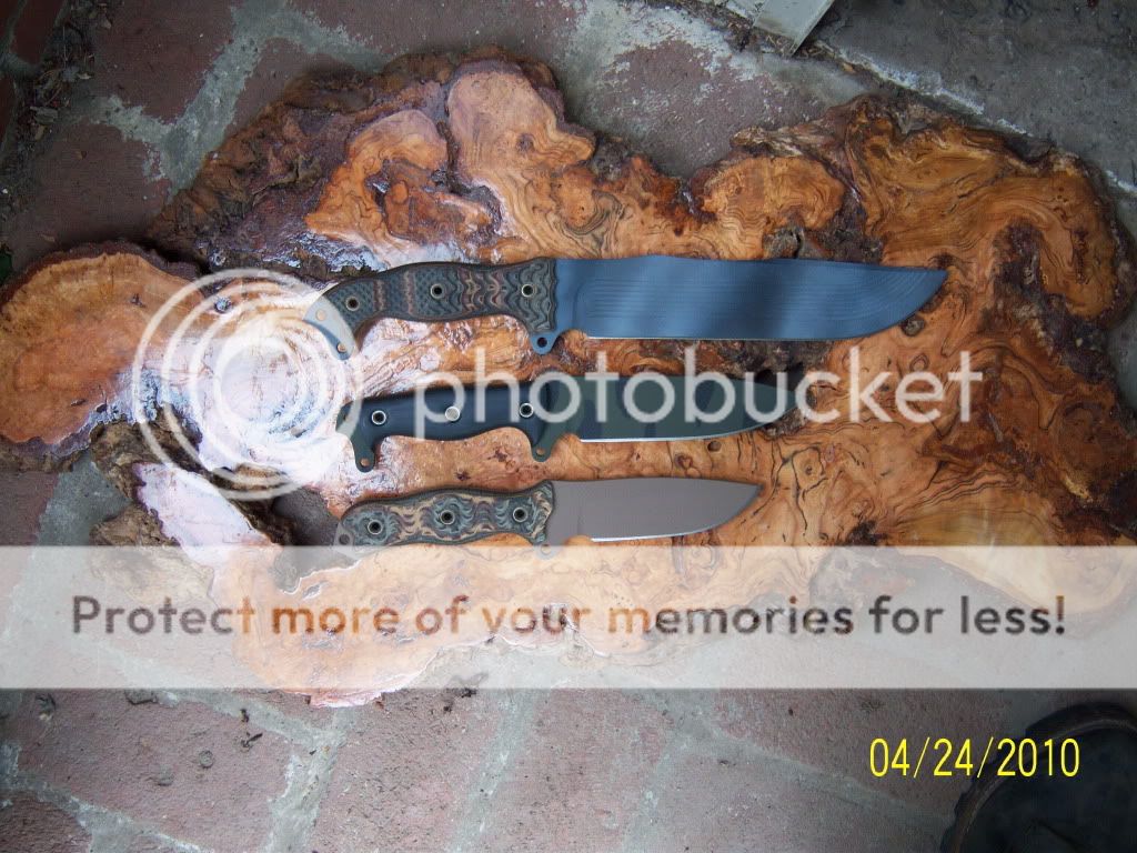 burl031.jpg