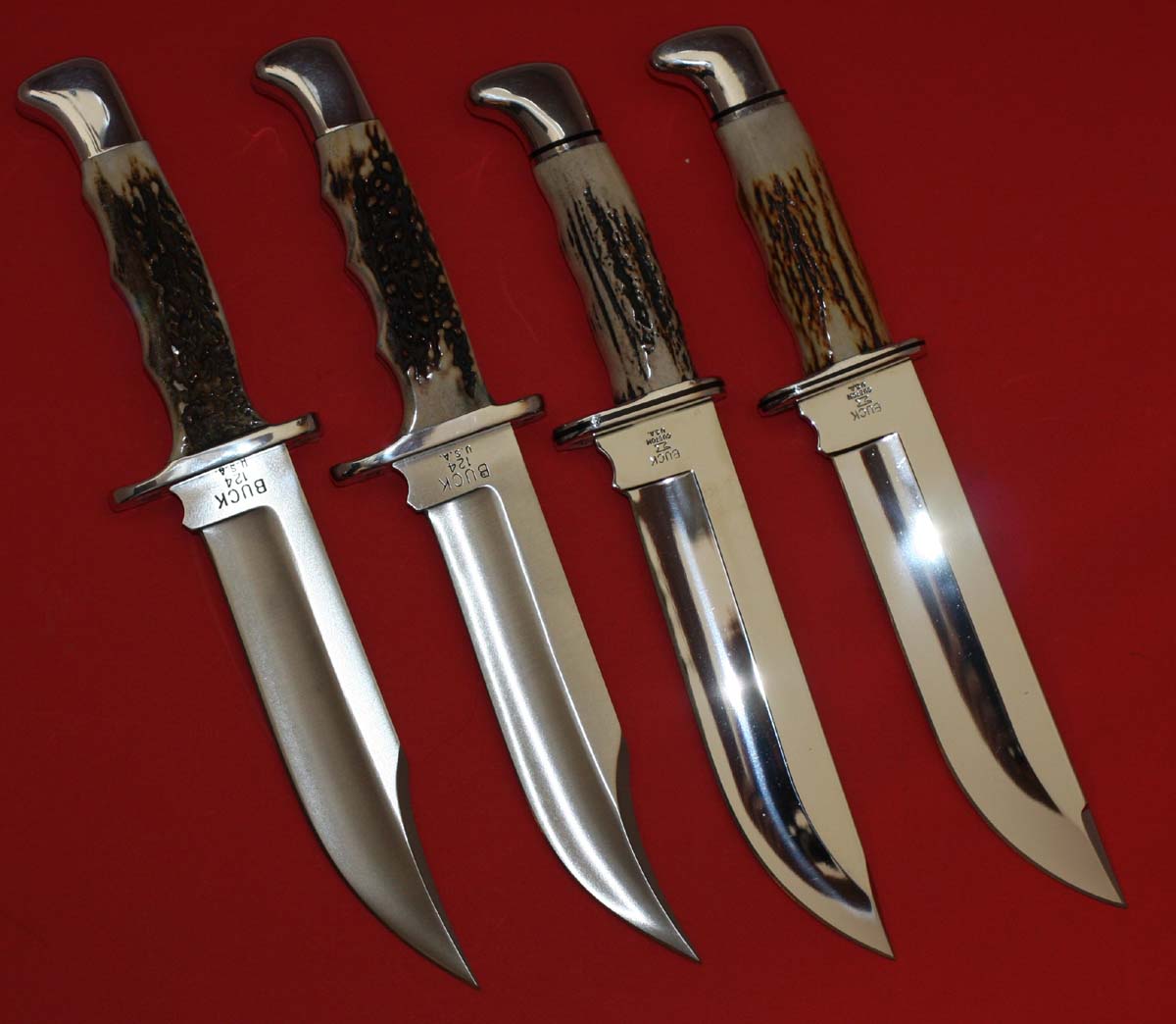 stags-2.jpg