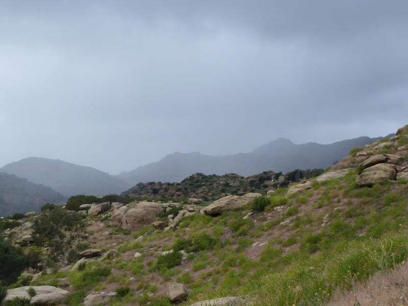 P1000591_zpsfe908a17.jpg