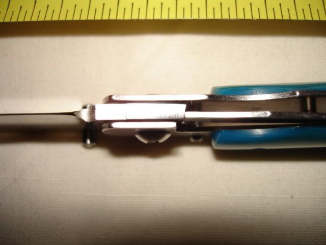DSC01379.jpg