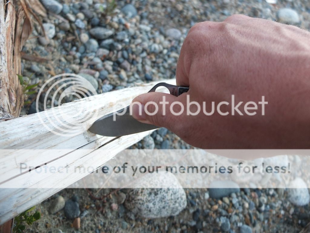 DSCF8871_zpsvwll2sug.jpg