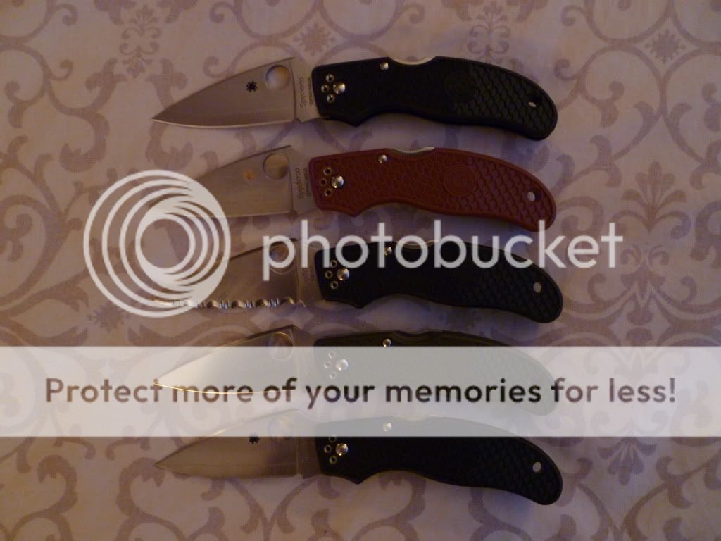 P1030410_zps95d8c5e9.jpg