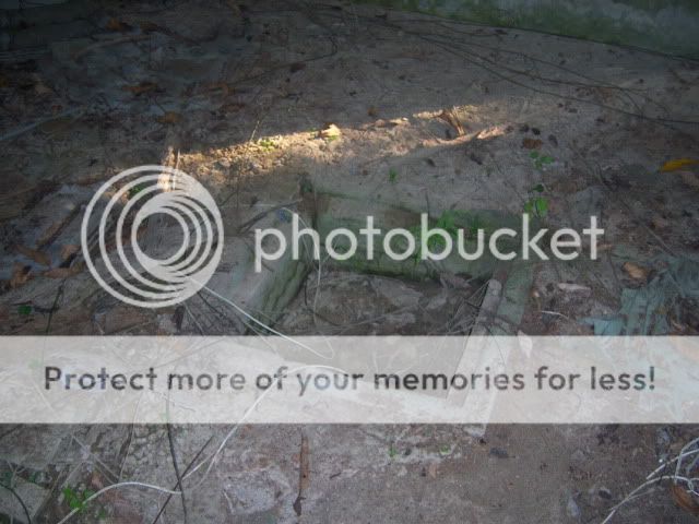 nov01-2009021.jpg