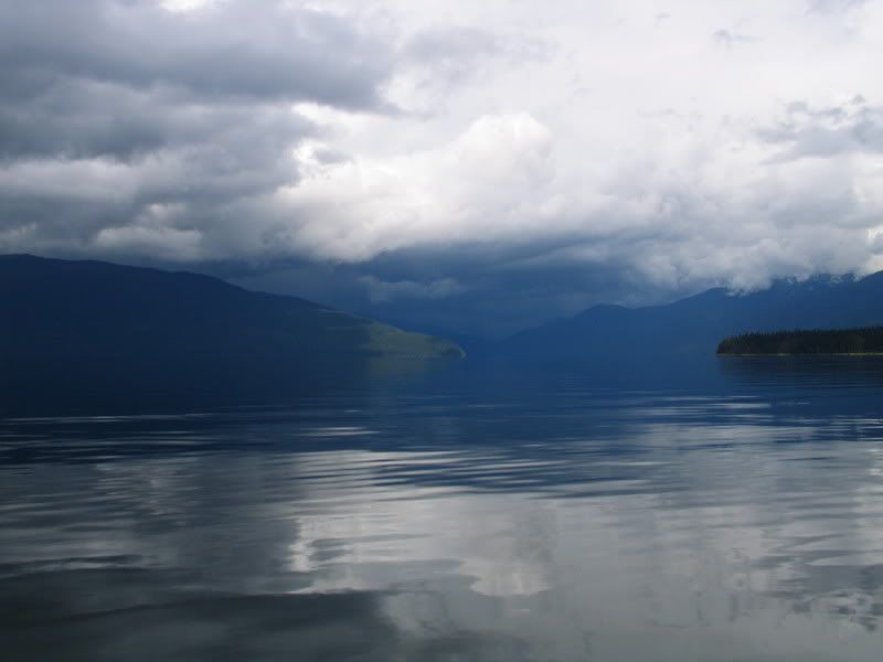 IMG_1593.jpg