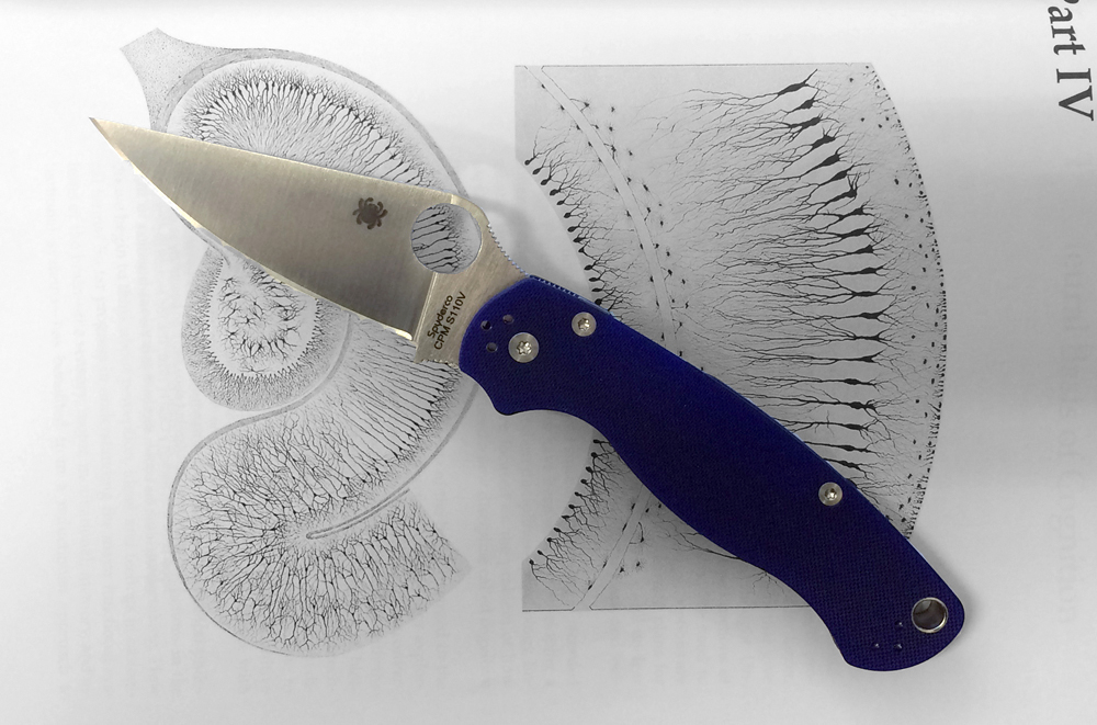 PM2.JPG
