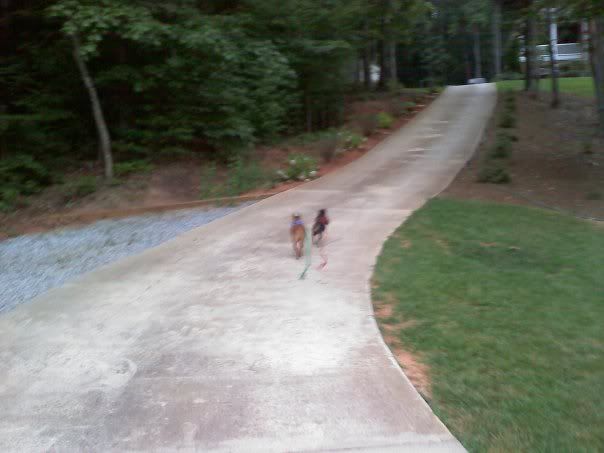 driveway.jpg