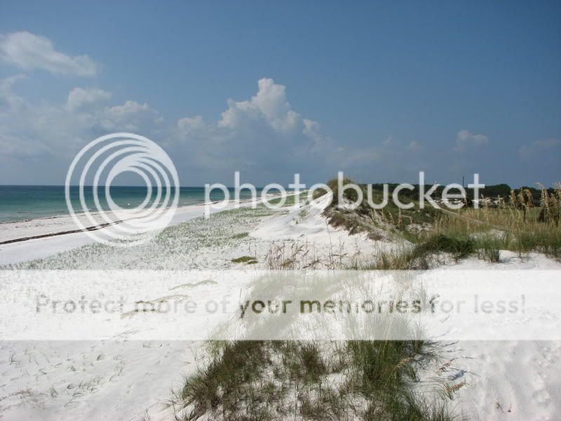 IMG_0118.jpg