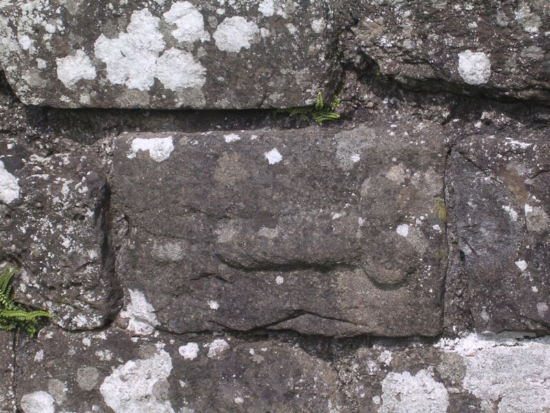 DSCN4412.jpg