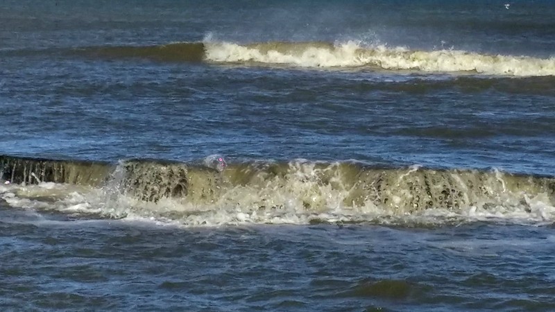 f3HLfx3.jpg