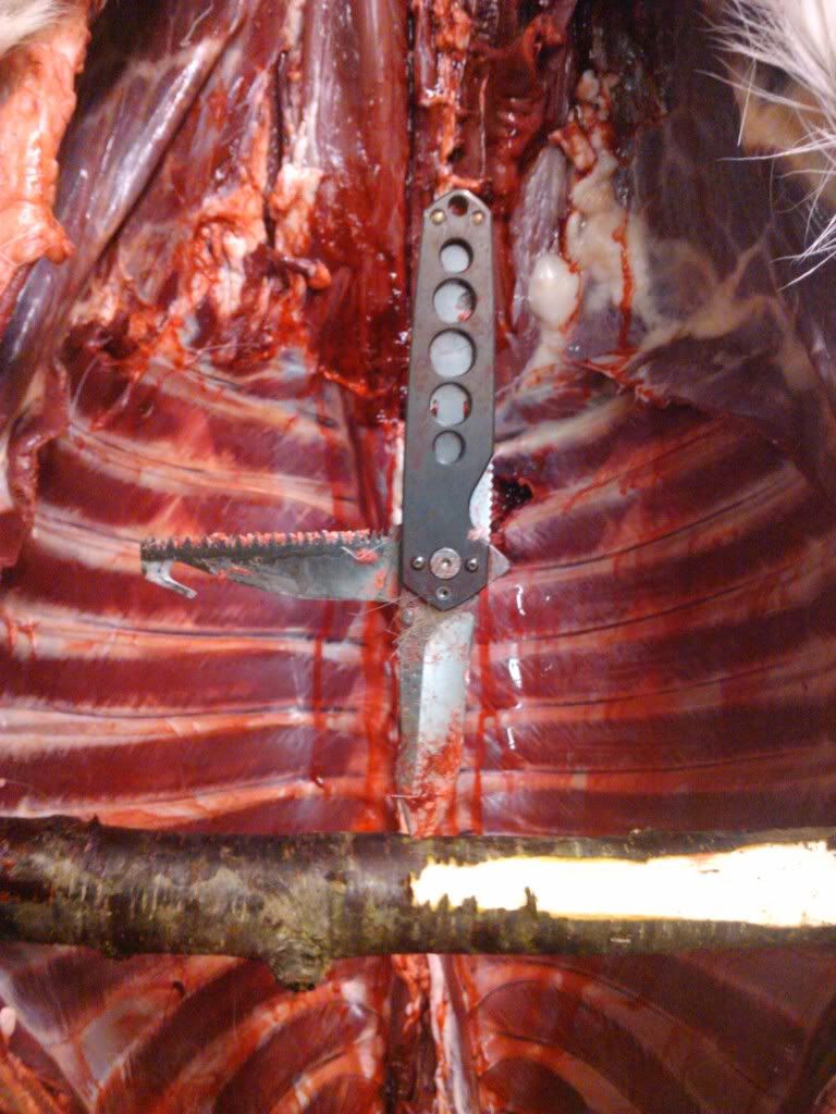 2011-11-22203008.jpg