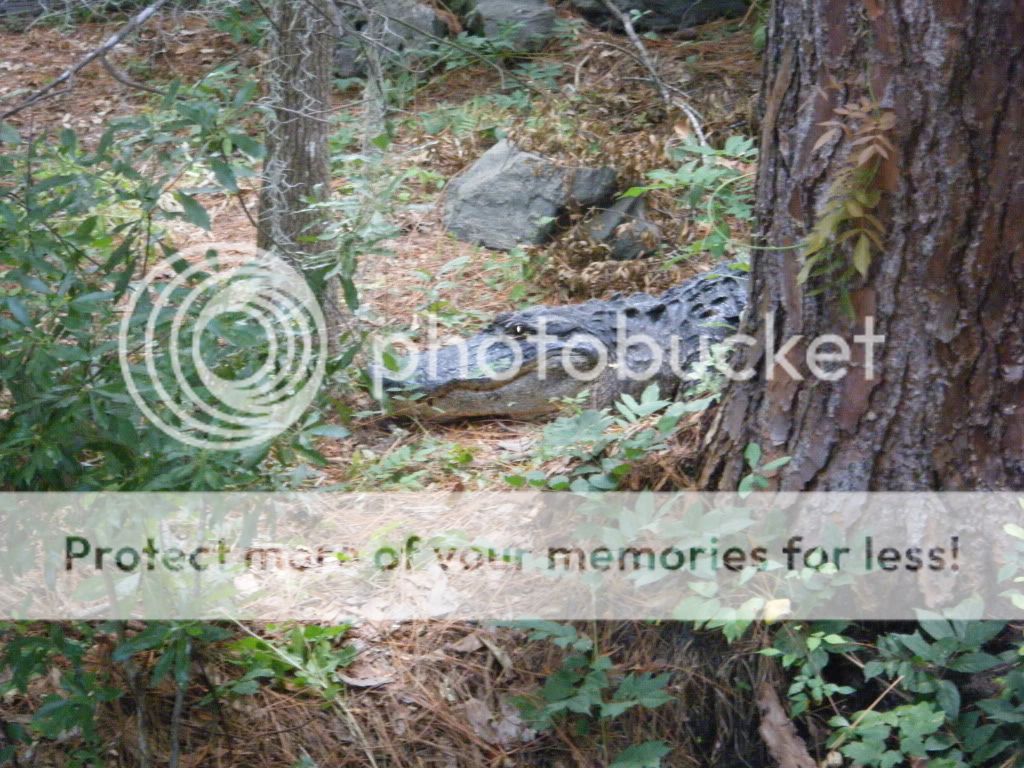 DSCF0087.jpg