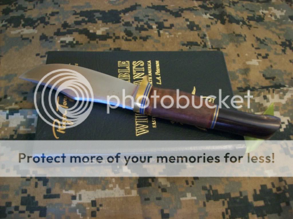 Blackwater003.jpg