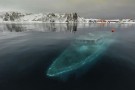 top-10-unbelievable-places-1-135x90.jpg