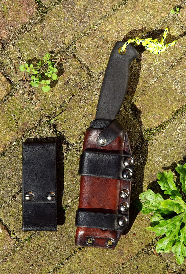 Bandicoottechnicalsheath03.jpg