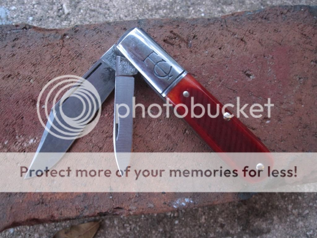 IMG_3984_zpstf9udwmw.jpg~original