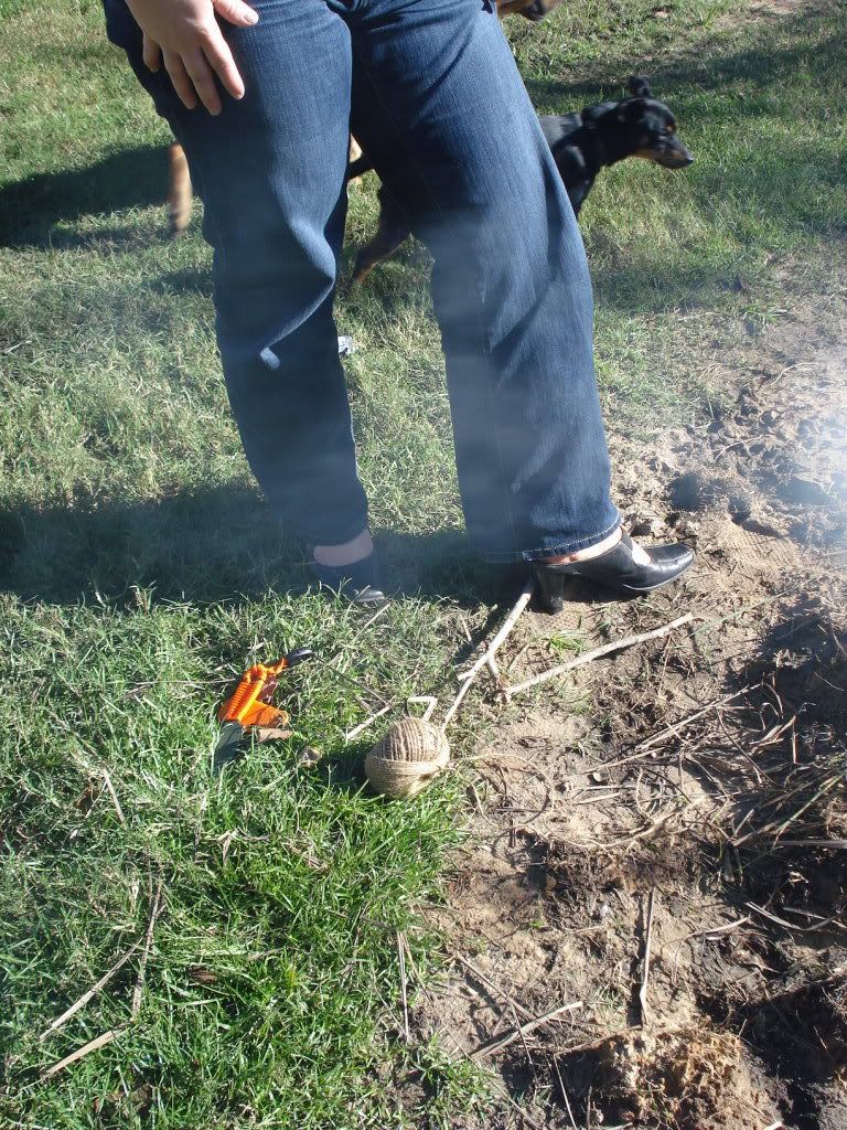 DSC06419.jpg