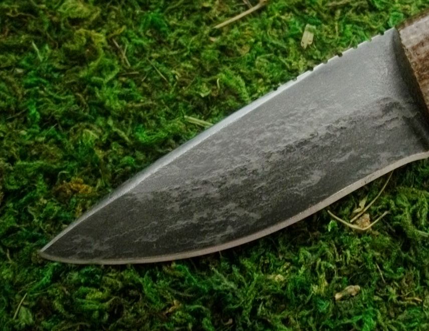 BLAP072.jpg