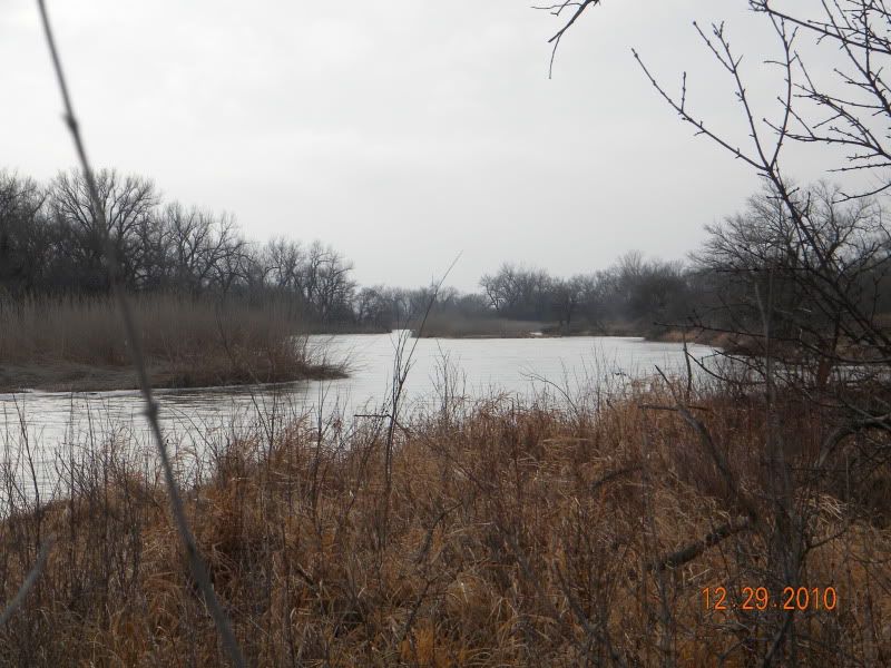 DSCN3224.jpg