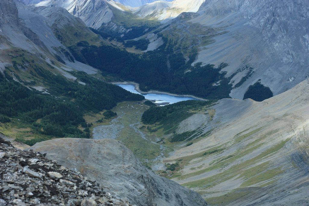 3897445835_73deaa348c_b.jpg