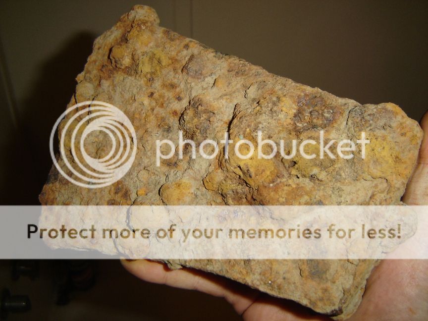 lumpaxeback.jpg