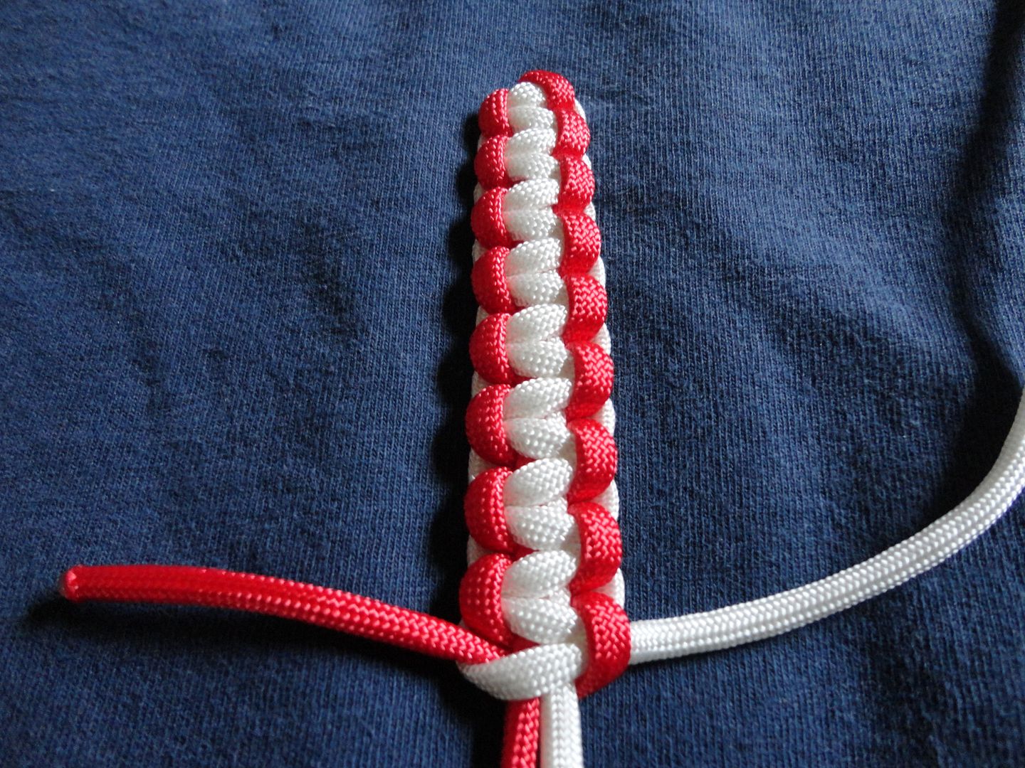 DSC04719_zps6d7c83d4.jpg