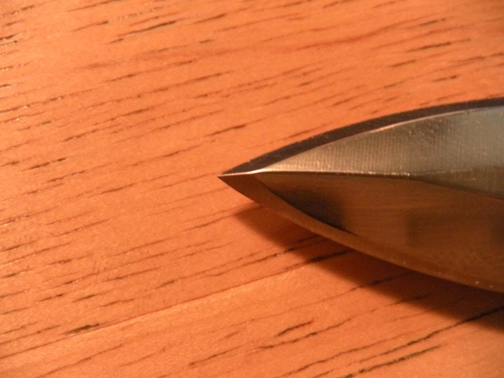 DSCN0894.jpg