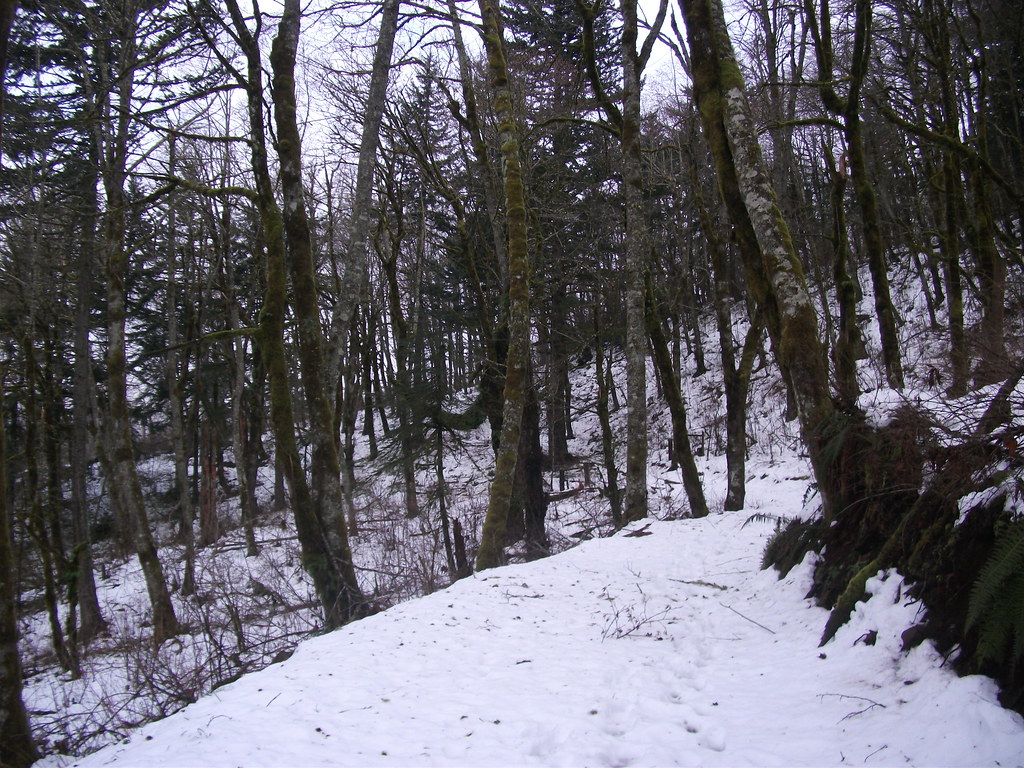5500843647_dbbb65c880_b.jpg