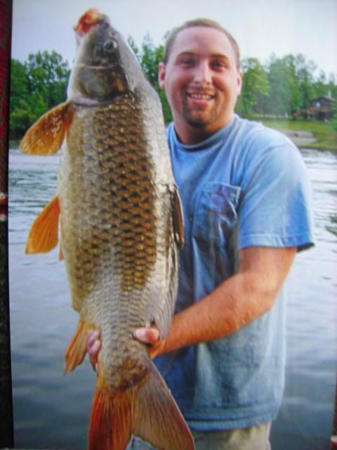 Carp-1.jpg
