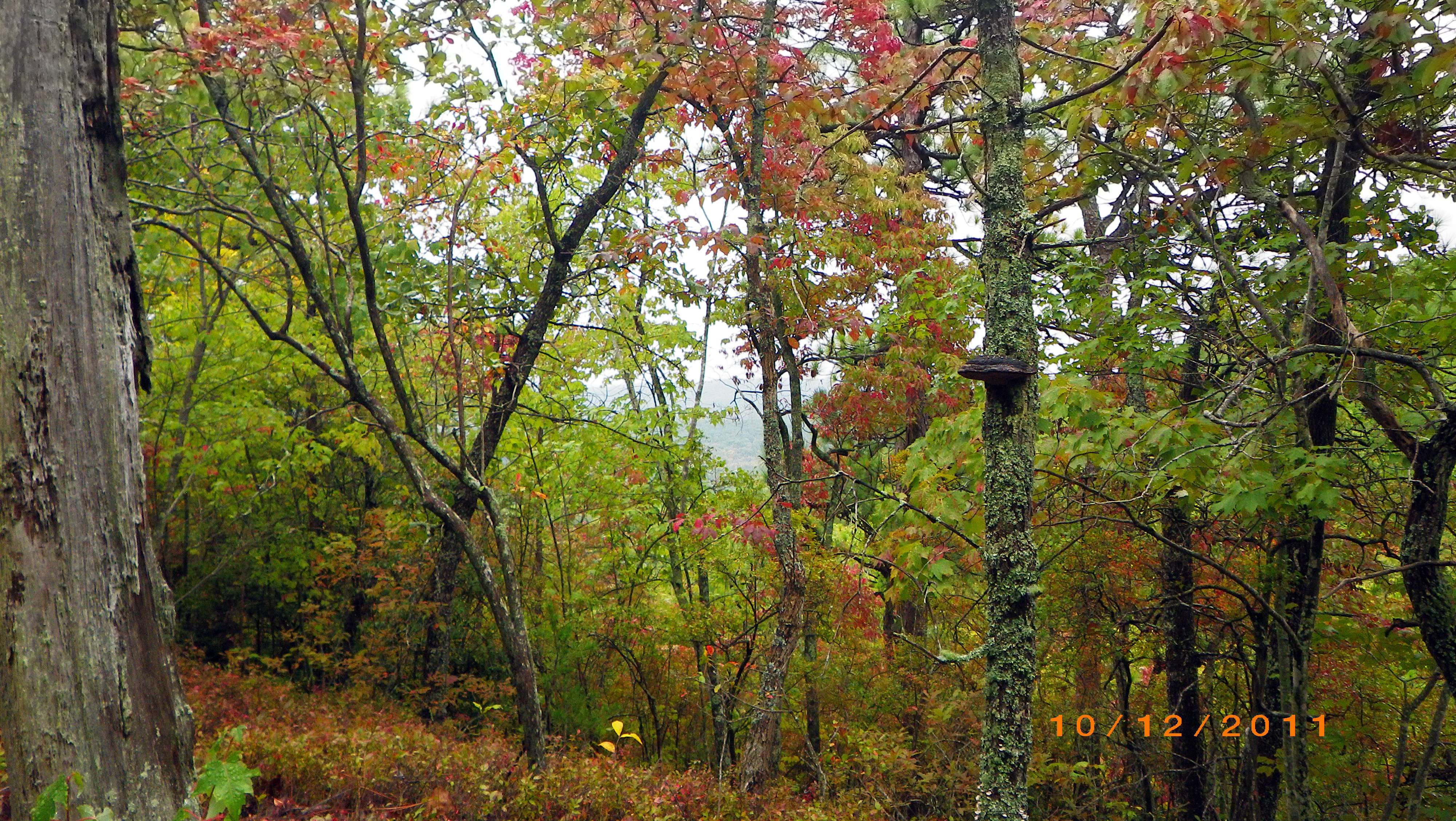 imgp3964b.jpg