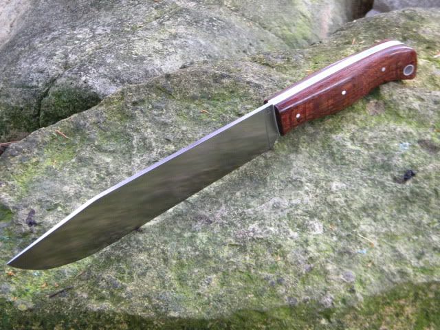 DSCN1668.jpg